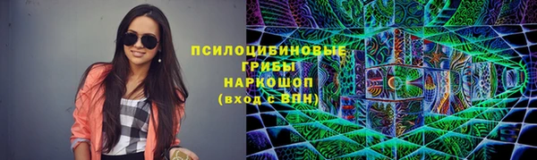 соль ск Арсеньев