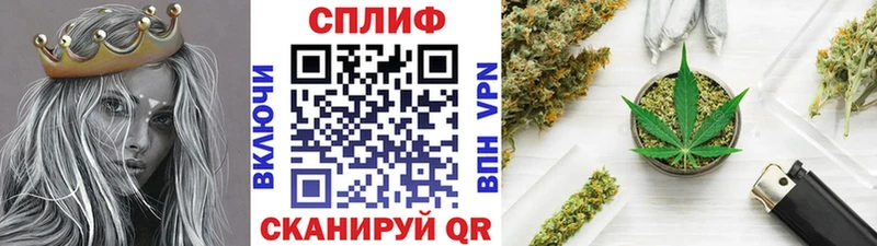 Бошки марихуана White Widow  наркошоп  Чудово 